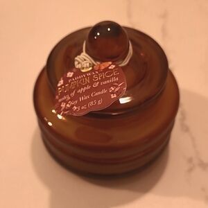 NWT Pumkin Spice Candle by Paddywax